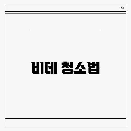 비데 청소법