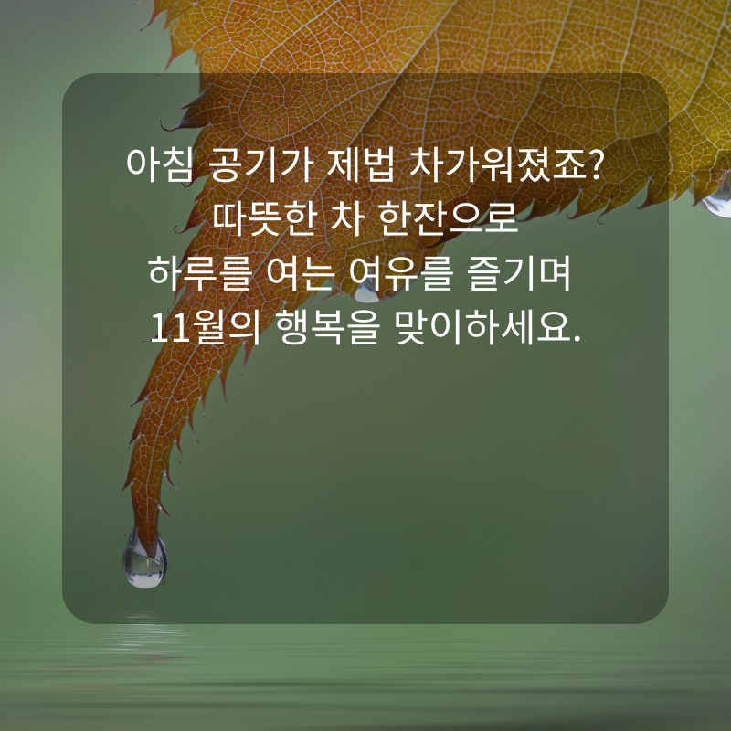 11월 인사말 문구 이미지 가을 겨울 인사글 모음집