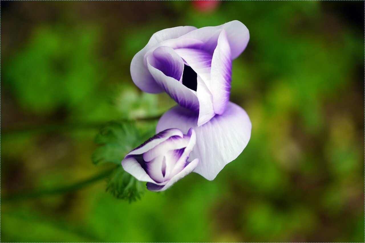 적금 이율 높은 은행