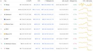 2025년 코인 시장 대혼란