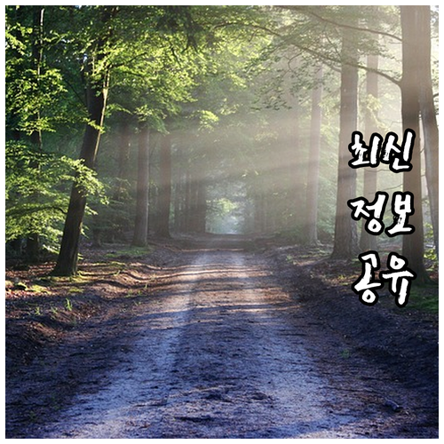 2025 꿈너머 꿈 멘토링: 학교 연..