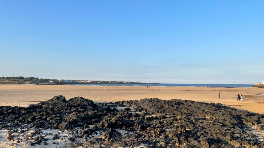 표선 해수욕장 원경