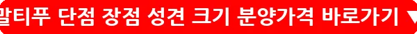 말티푸 단점 장점 성견 크기 분양가격_9