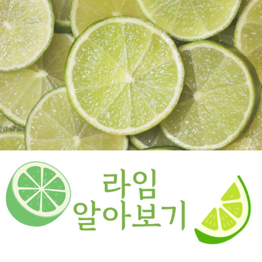 라임