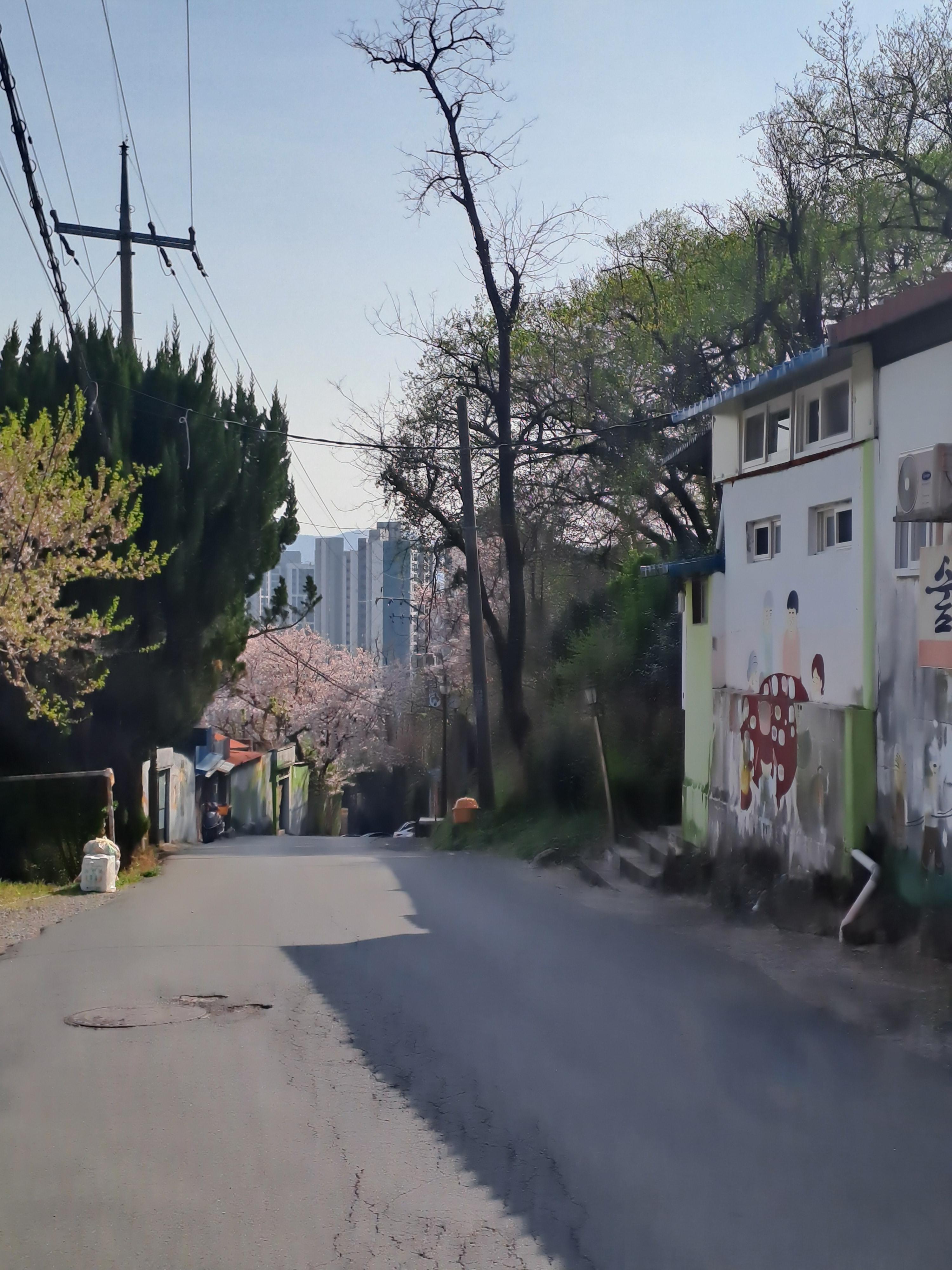 꽃잎 날리는 서원곡계곡