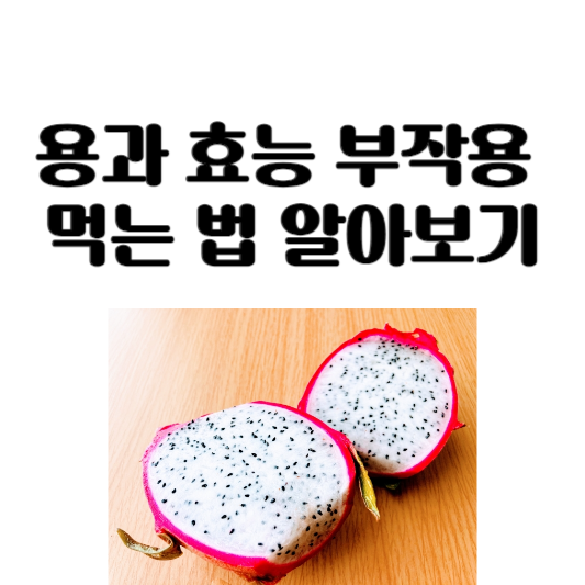 용과 효능과 부작용 및 먹는 법