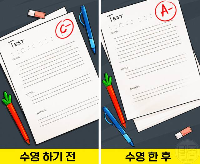 수영 30분 매일 수영효과 수영효능 아이큐