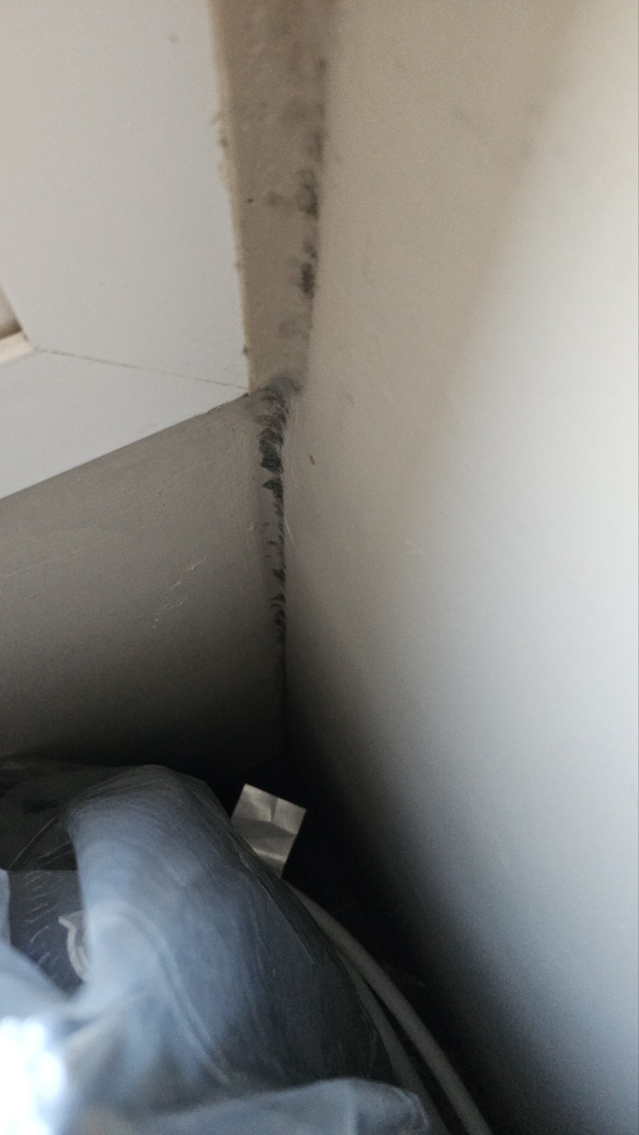 세탁실 곰팡이 제거｜닥터클린 곰팡이제거제/방지제 내돈내산 사용기