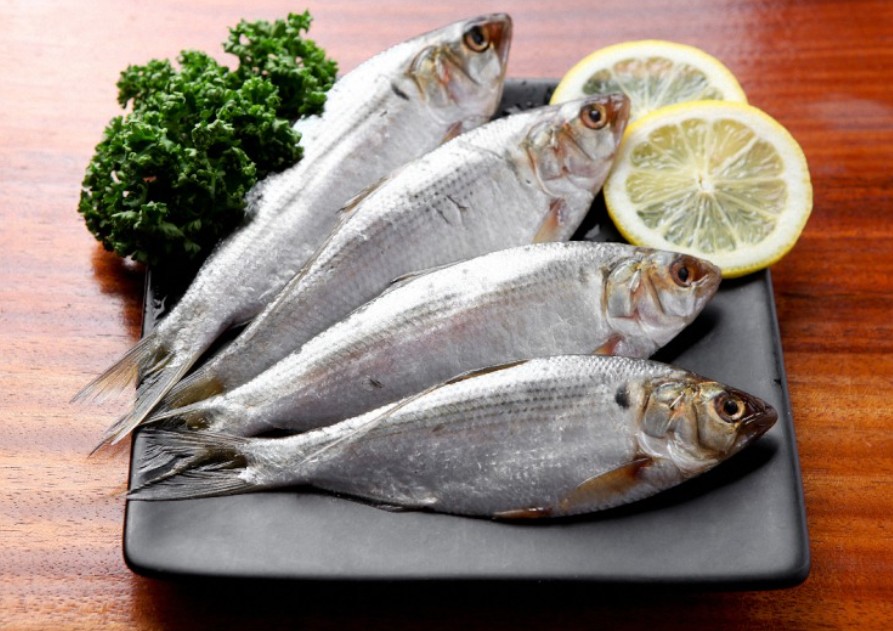 가을전어