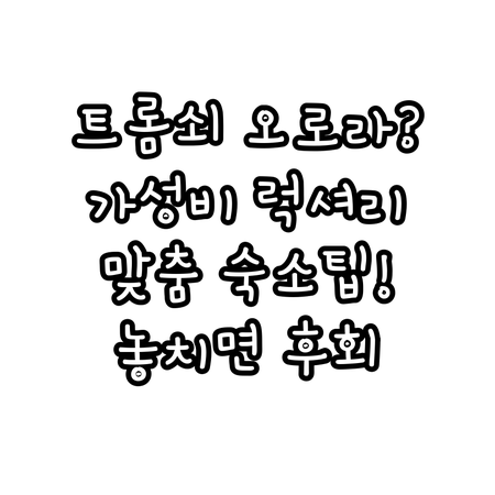 북극광 성지 트롬쇠 호텔 가성비 럭셔..