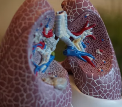 만성폐쇄성 폐질환 증상 치료 원인과 예방법