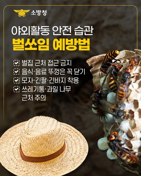 벌쏘임 벌집제거 행동요령 응급대처법 벌침제거법 8월벌쏘임 알레르기응급 소방청통계