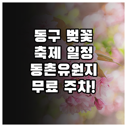 대구 동구 벚꽃 축제 일정과 아양기찻..