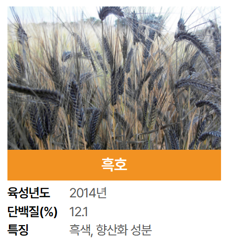 2025 군산 수제맥주 블루스 페스티벌