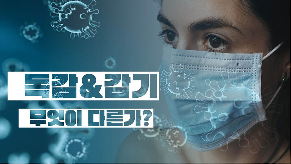 독감과 감기1