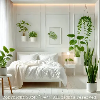 침실 식물 추천 공기정화기능 물주기 관리 향기 숙면 도움 되는 종류_31