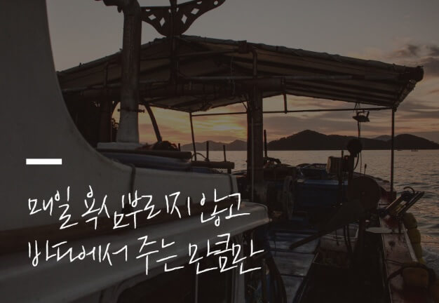 오늘N 이 맛에 산다 통영 다연호 자연산 바다장어 돌문어 구매방법