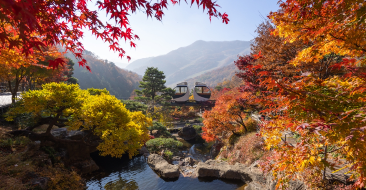 화담숲 홈페이지