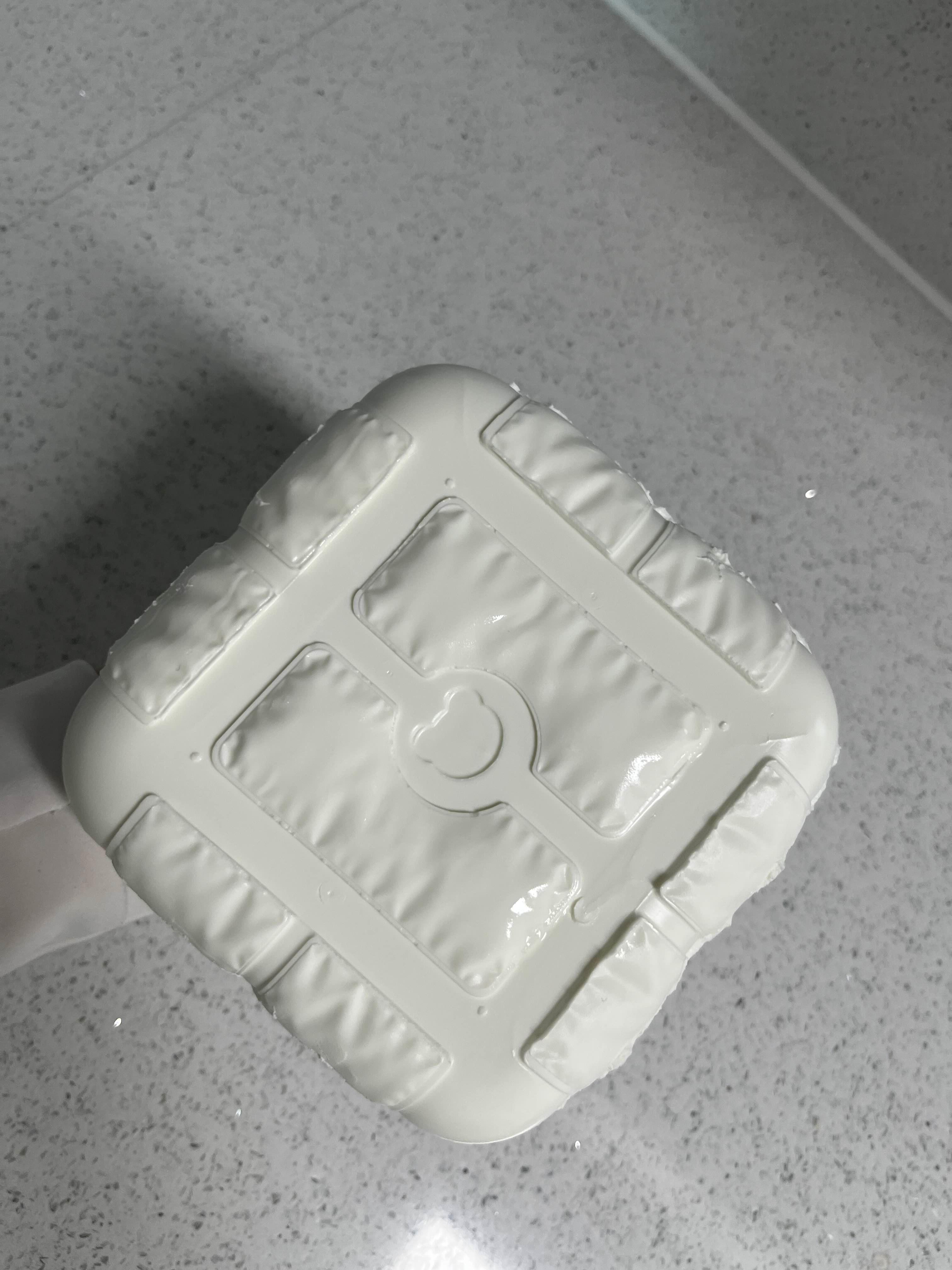 완성된 그릭요거트 사진