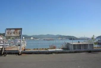 마산 해안도로 5월의 꽃 다정큼나무 산딸나무 해당화_11