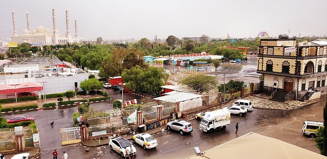 세계 3대 커피 & 스페셜티 커피 완전정리 (예가체프, 게이샤, 슈프리모 포함)
