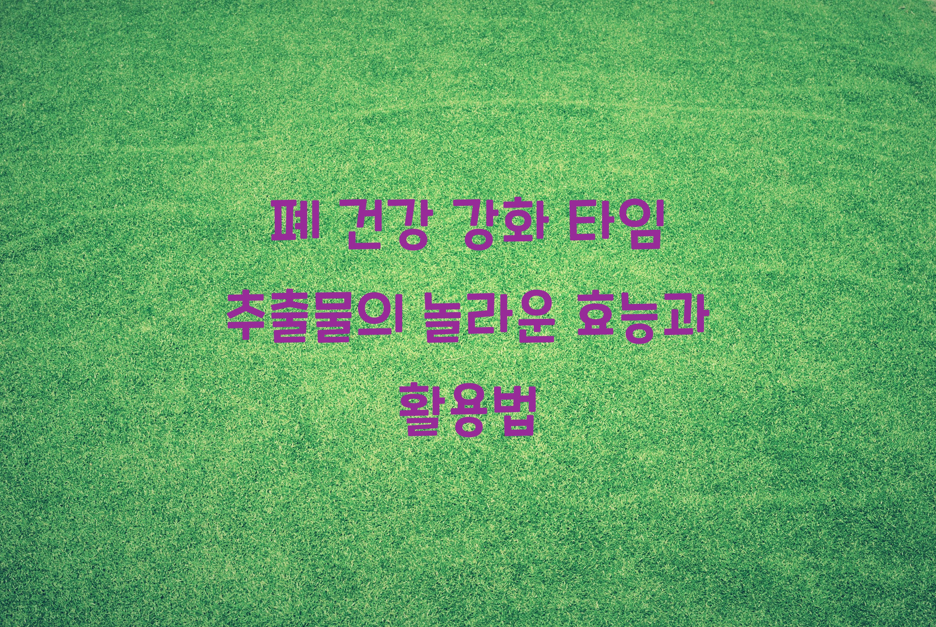 폐 건강 강화 타임 추출물