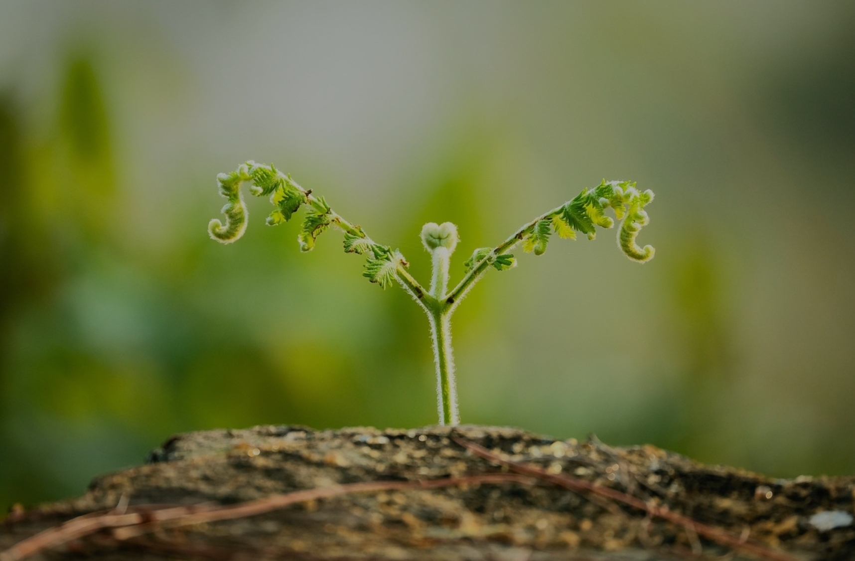 자기계발이 오히려 독이 됐던 순간