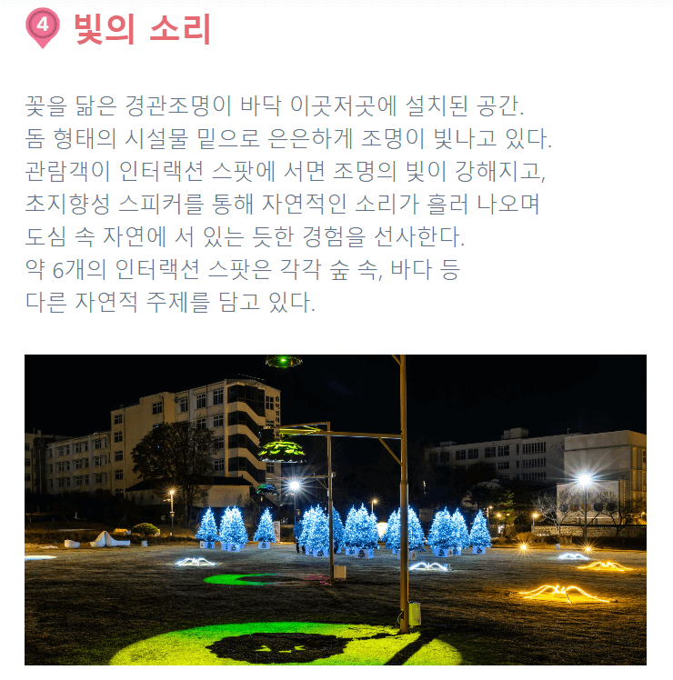송현동 빛의축제