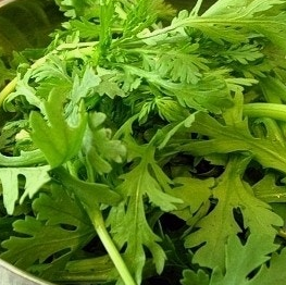 쑥갓의 효능 부작용 고르는법 칼로리 꽃