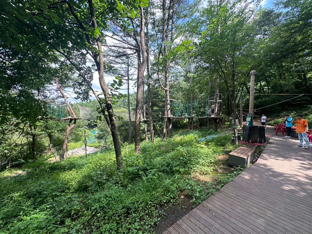 포레스트 어드벤처