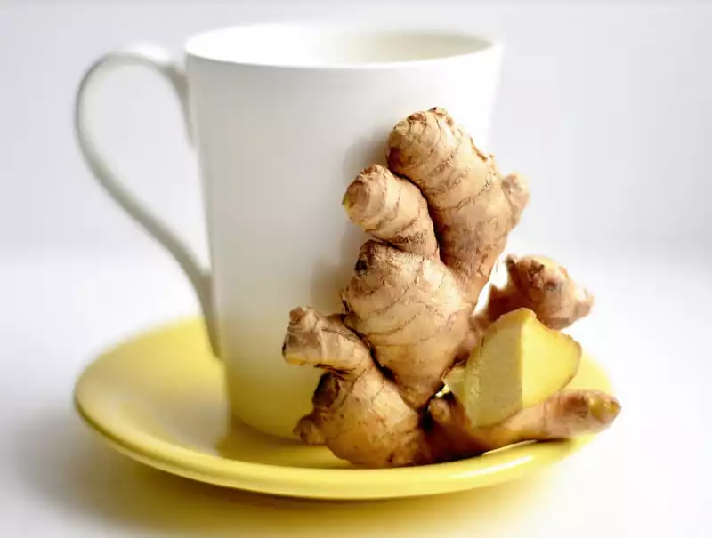 면역력에 도움 되는 음식 종류