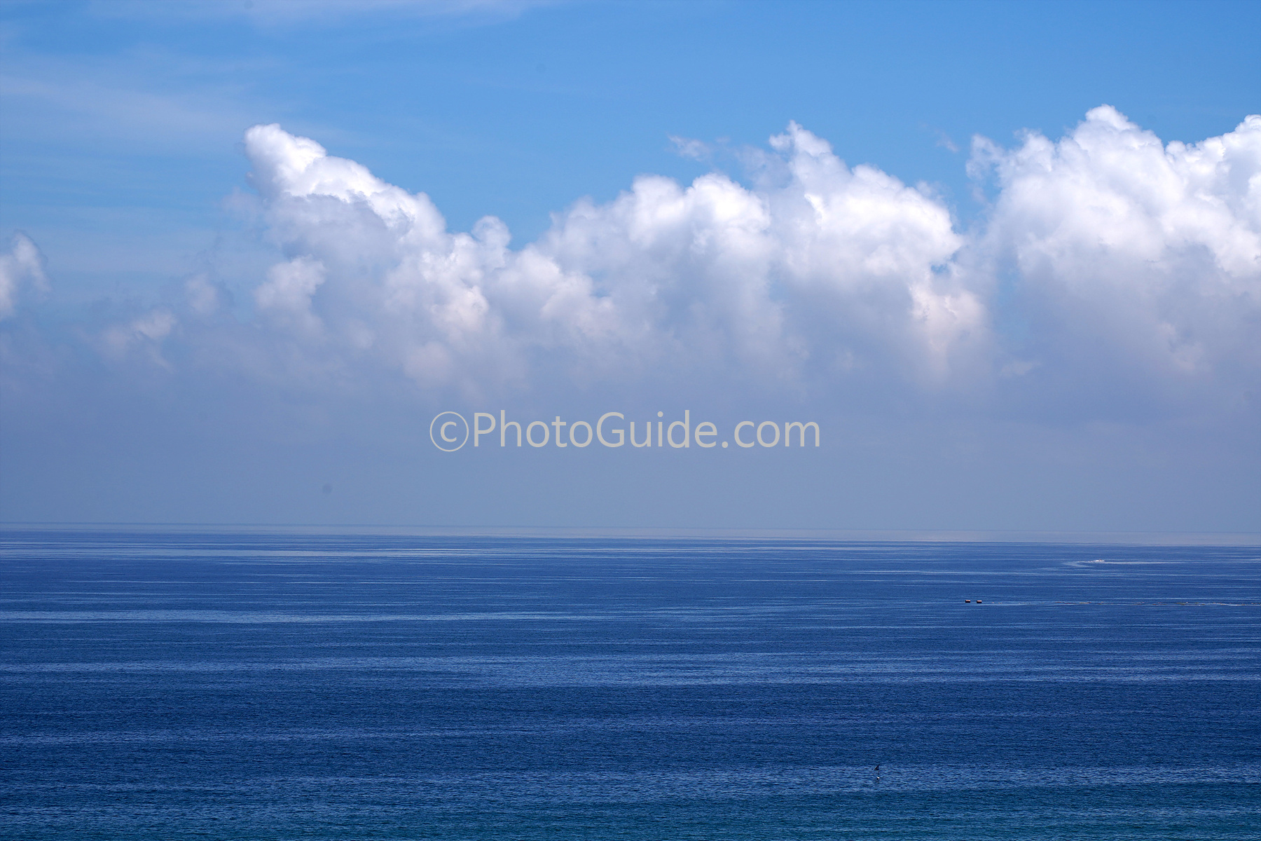 포토샵 먼지 지우기