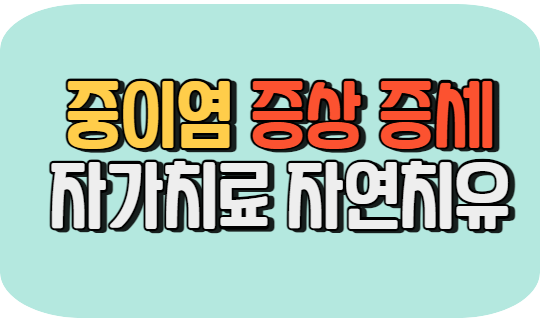 중이염 증상 증세 자가치료 자연치유