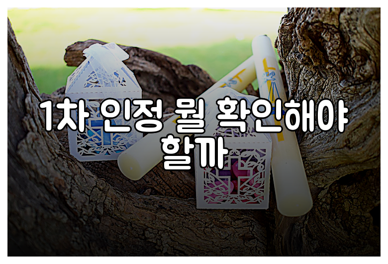 1차 인정 뭘 확인해야 할까
