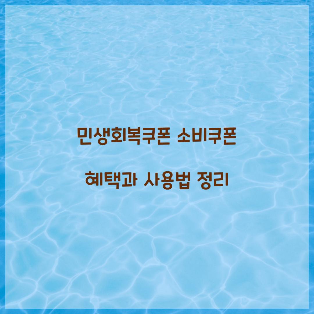 민생회복쿠폰 소비쿠폰