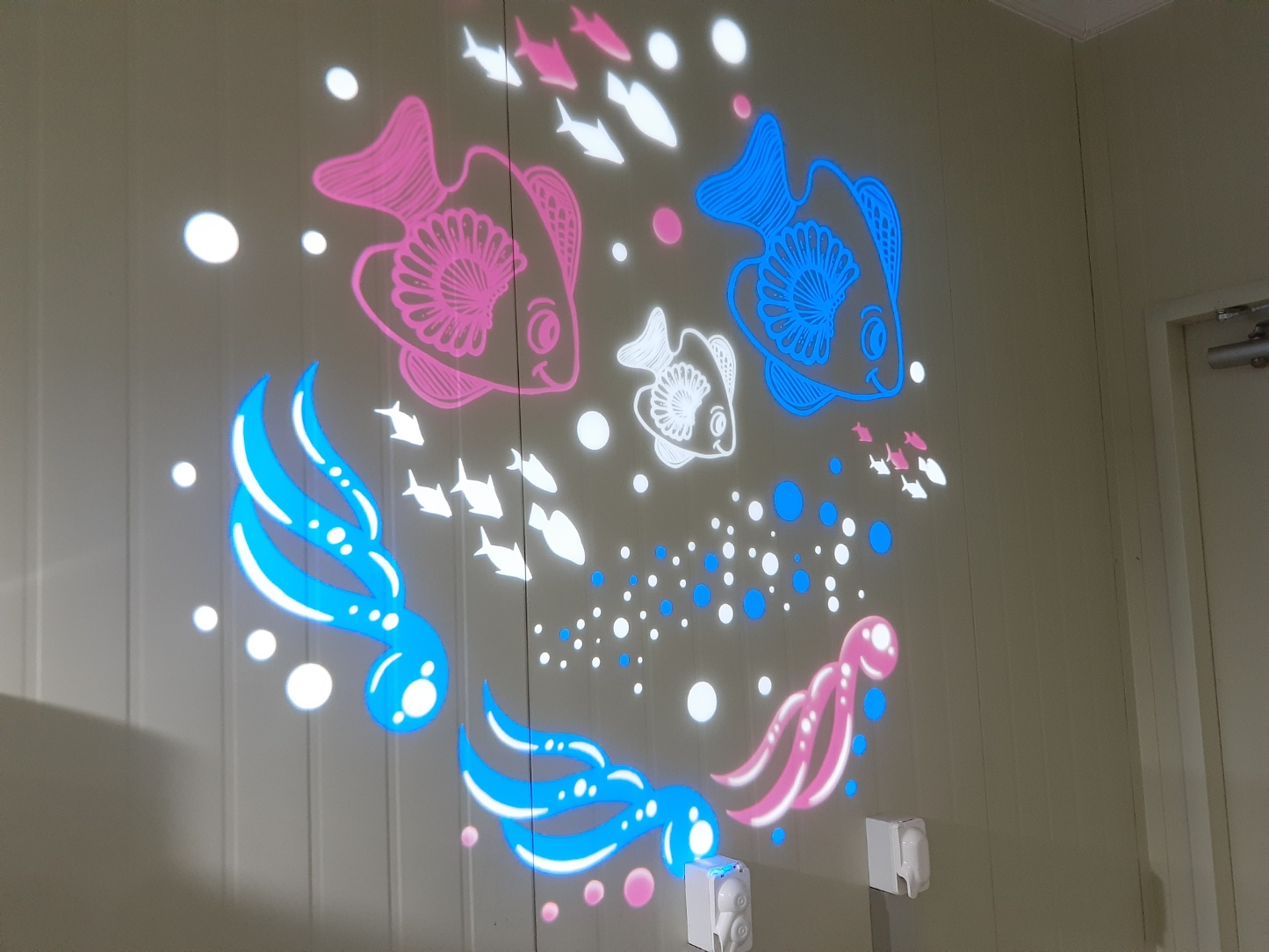 민물고기전시관열대어전시관