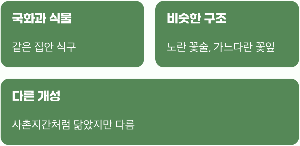 겉모습은 닮은 사촌지간