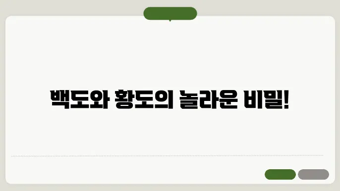 복숭아 품종 비교