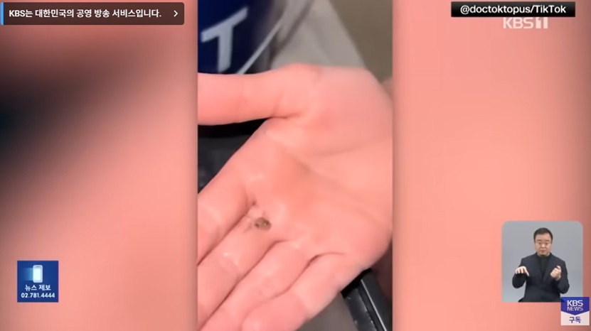 문어 사육의 문제점