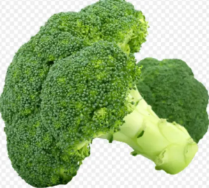 브로콜리-사진