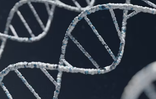 미오이노시톨 과 활성형 엽산