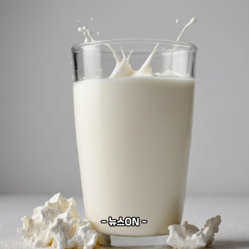 비타민b12가 많은 음식