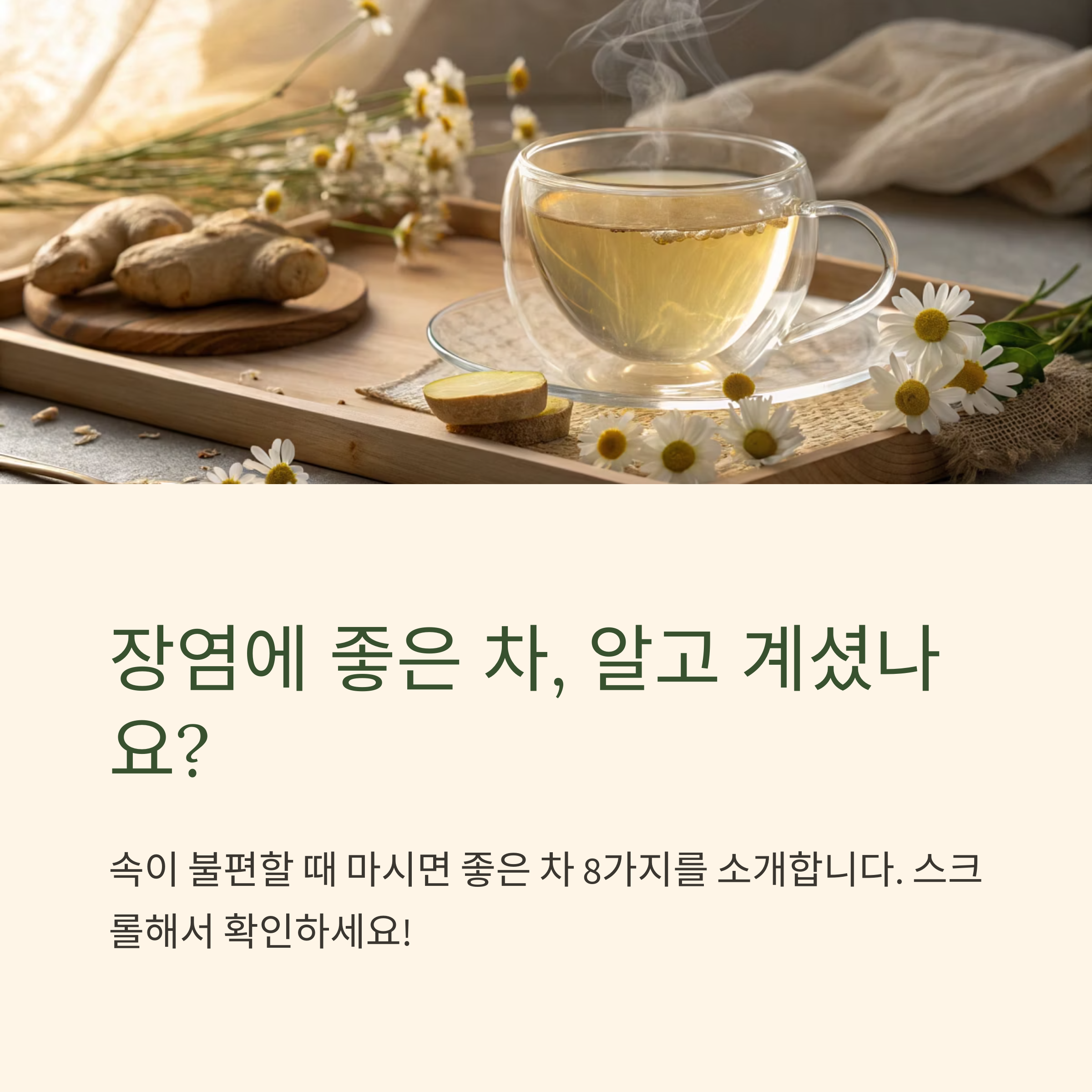 장염에 좋은 차 종류와 섭취 요령