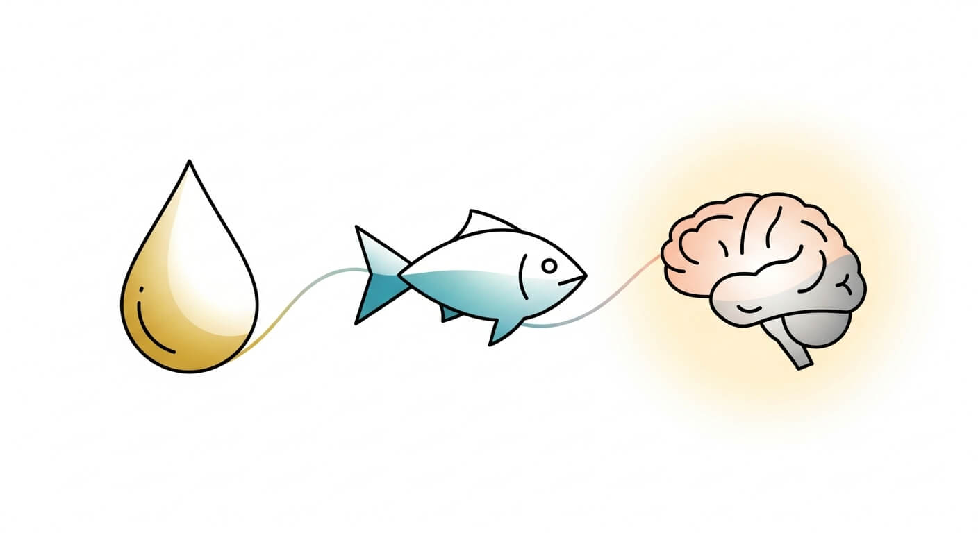 지중해식 식단의 건강 비밀 (항산화, 오메가3, 뇌 건강)