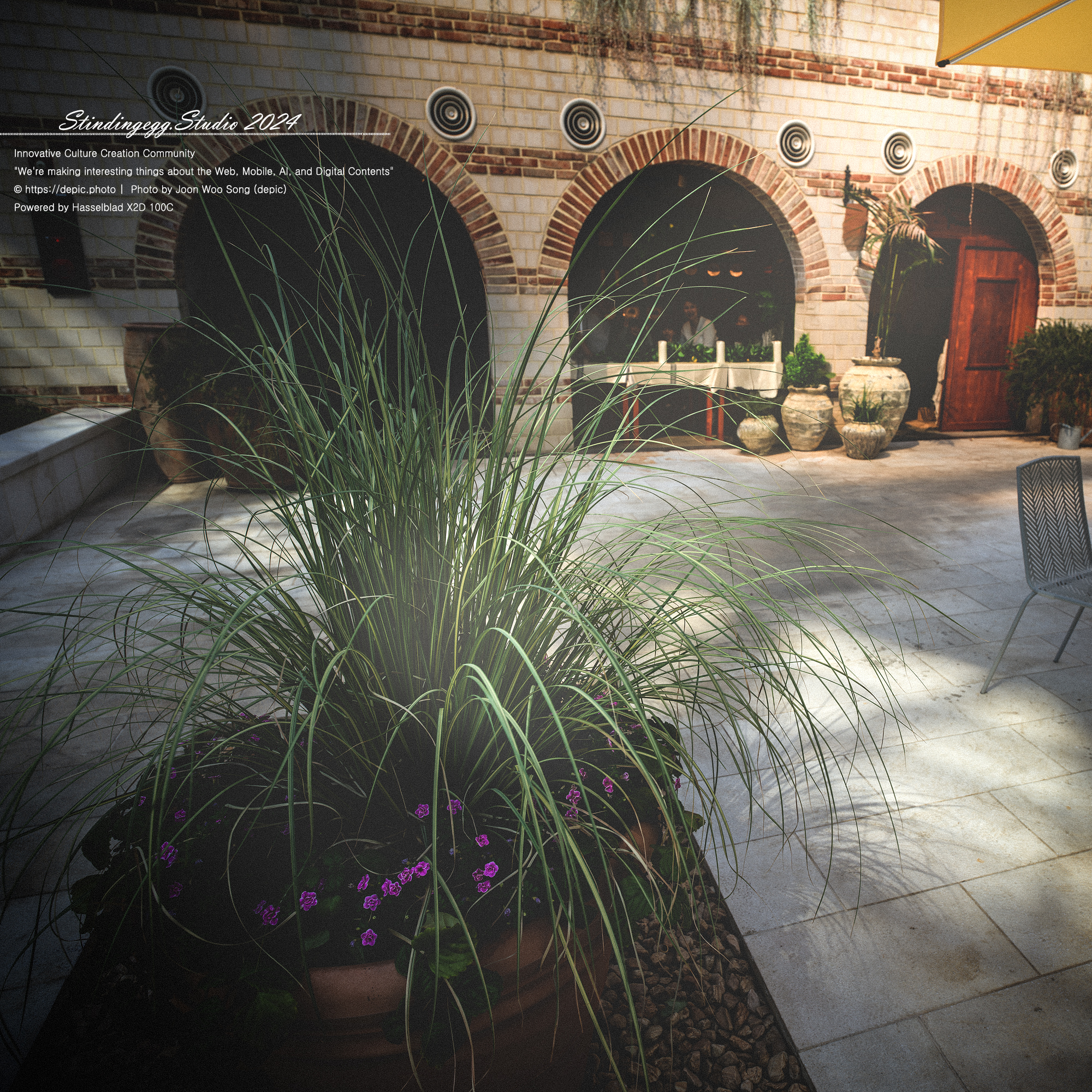 #서울 #식물원 #서울식물원 #꽃