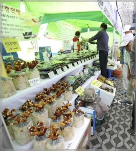 산청 한방약초축제_2