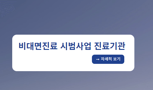 비상 진료 비대면 병원 약국 조회 방법