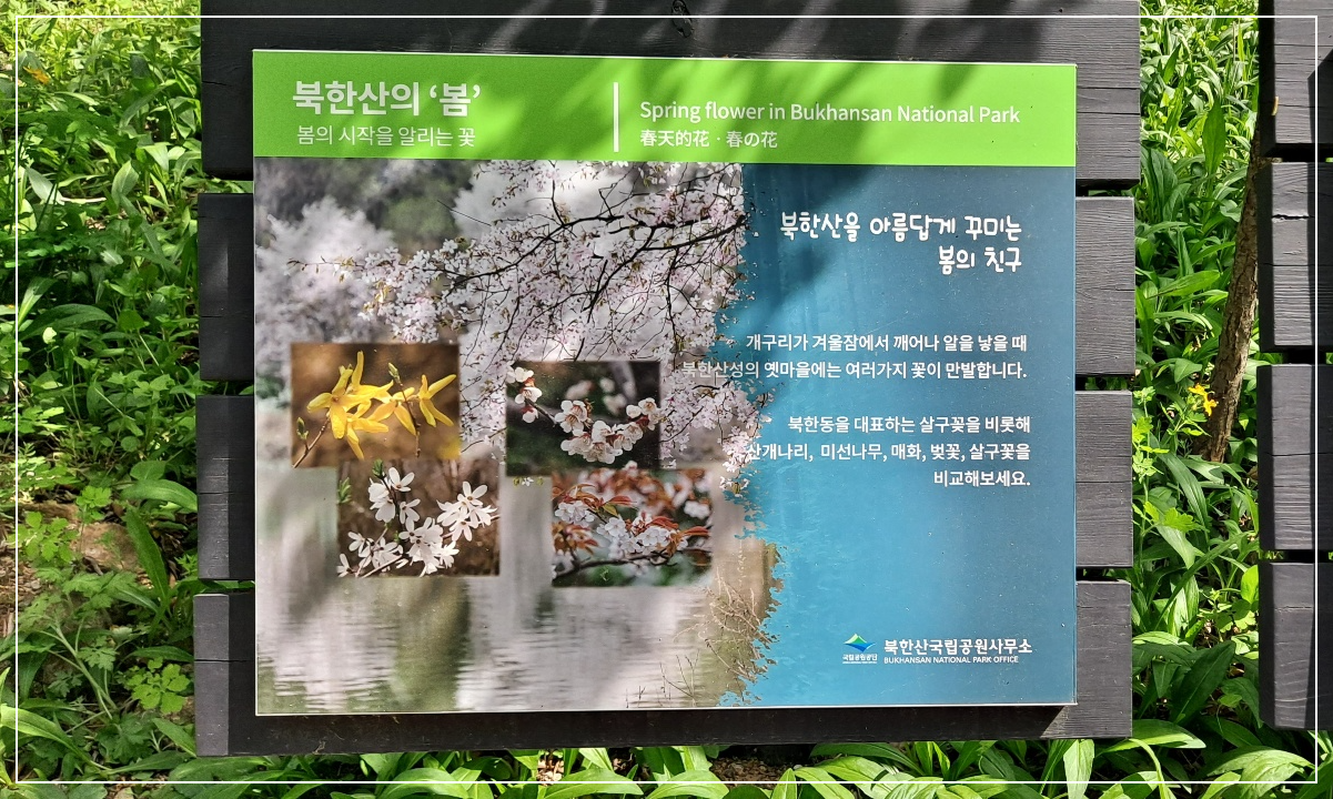 북한산의-봄-안내판