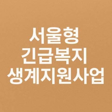 서울형 긴급복지 생계지원 사업 관련 사진