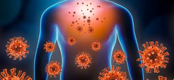 기관지염 기침 치료에 좋은 약초 추천